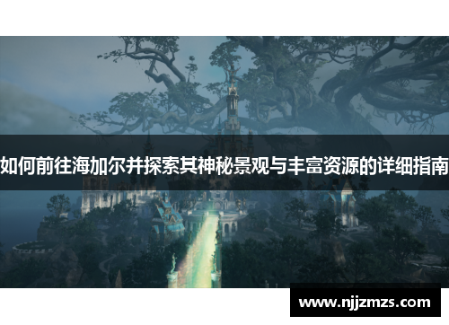 如何前往海加尔并探索其神秘景观与丰富资源的详细指南