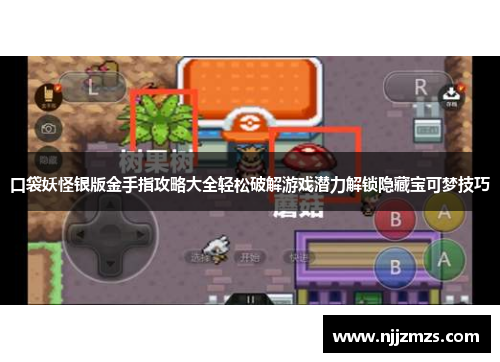 口袋妖怪银版金手指攻略大全轻松破解游戏潜力解锁隐藏宝可梦技巧
